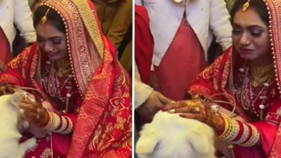 bride, VIral Video, trending Video, bride viral video, bride emotional video, bride hugs her dog, bride with her dog video, dulhan ka emotional video, instagram viral reel,