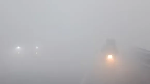 delhi fog, Delhi dense fog, Delhi weather updates, imd weather updates, Delhi ncr weather, low visibility, imd fog alert