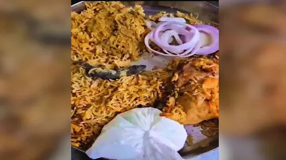 zomato, dead lizard, chicken biryani, hyderabad, food hygiene, viral video, trending,",