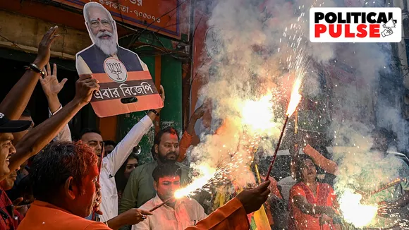 BJP 2024 Lok Sabha polls