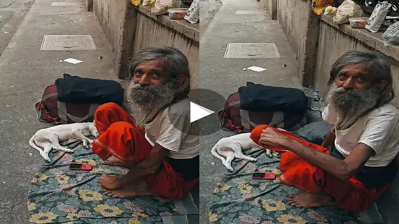 viral video, viral animal video, food video, viral clip, viral news