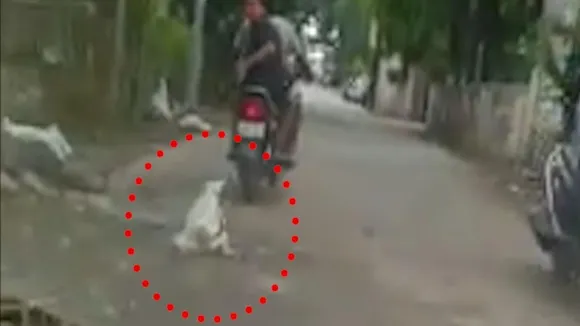 Animal Cruelty In Uttar Pradesh,Animal Cruelty Video,Ghazipur,Horriffing video,uttar pradesh,কুকুরকে নির্দয় অত্যাচার,কুকুরের উপর অত্যাচারের ভিডিয়ো,কুকুরের উপর পাশবিক অত্যাচার"