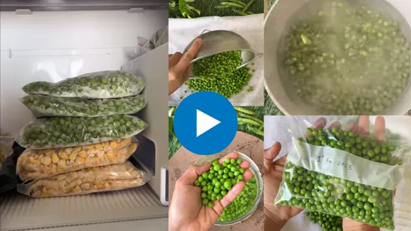 How to freeze green peas properly