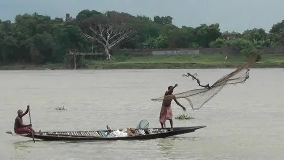 Fishermen Caught Shankar Fish from Muri Ganga River