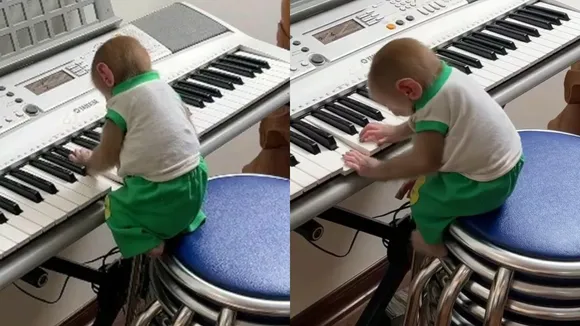 bibi smart moneky, Monkey played piano, smart monkey, viral, viral news, viral video, Instagram, Reels, social media, Monkey video