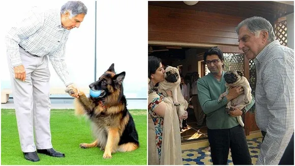 et project,ratan tata pet hospital