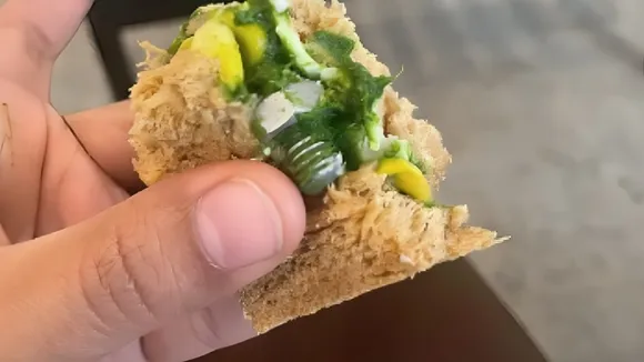 IndiGo passenger finds screw in his sandwich