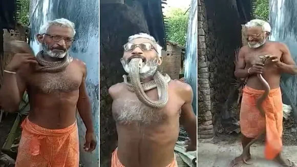 Chachaji Ka Video,King Cobra Ka Video,Sanp Ka Video,Uncle Bites King Cobra,Trending Video,Omg Video,Latest Viral Video,Snake Ka Video"