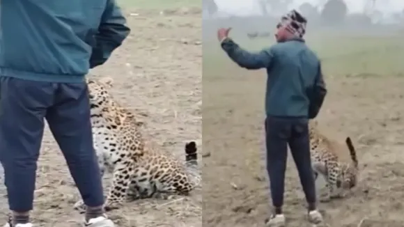 "Viral Video, Viral news, trending video, bizarre, shocking video, man took selfie with leopard, selfie with leopard,