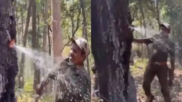 tree with water, Water Tree, viral tree that gives water, unique tree, water tree, Water Tree Viral Video, bodhi tree, crocodile bark tree, Terminalia Tomentosa, Viral Video, Trending Video, Today Viral Video, Trending News, Interesting News, Amazing News, Trending News, Viral News, Weird News, Bizarre News, Buzz, Trending, world news, world news