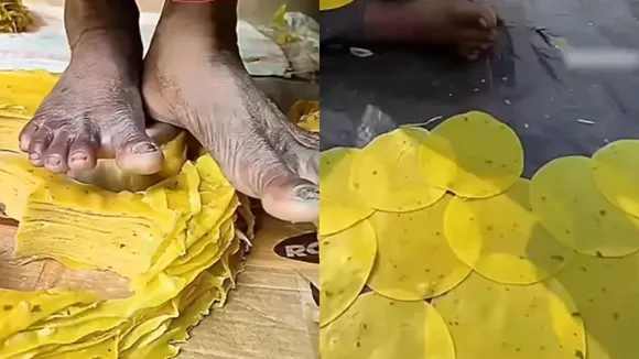 Viral video, viral news, trending news, shocking video, How are papads prepared, social media par viral,