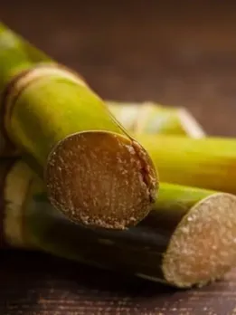 Sugarcane Benefits