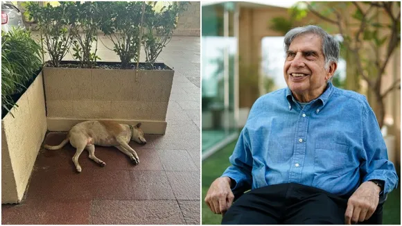 ratan tata viral