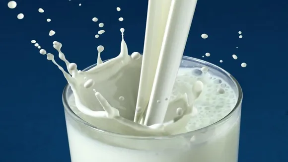 Amul has increased prices of fresh pouch milk