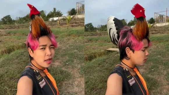 "Viral Video, New hairstyle, Women hair style, Weird hair style, trending news, trending video,