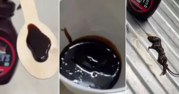 Viral Video Shows Dead Mouse In Hershey's Chocolate Syrup Company Reacts, Dead Mouse In Hershey's Chocolate Syrup, Dead Mouse In Chocolate Syrup, Hershey's Chocolate Syrup, Dead mouse, Hershey's Syrup,