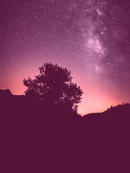 Horoscope Today Friday 21 June 2024