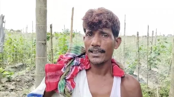 Many farmers are making more money by cultivating cucumbers, শসা চাষ