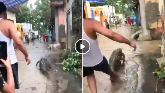 viral