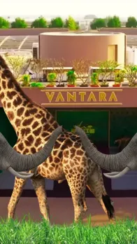 Vantara Rescue and Rehabilitation Centre