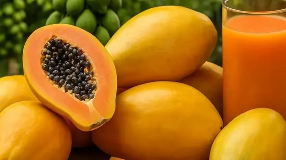 Real And Fake Papaya