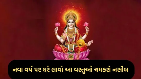 New Year 2026 Lucky Items