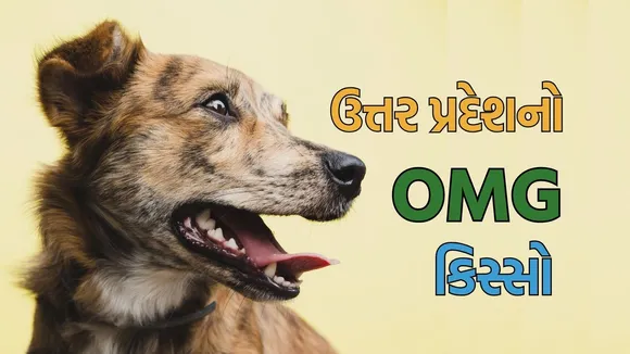 Uttar pradesh OMG case