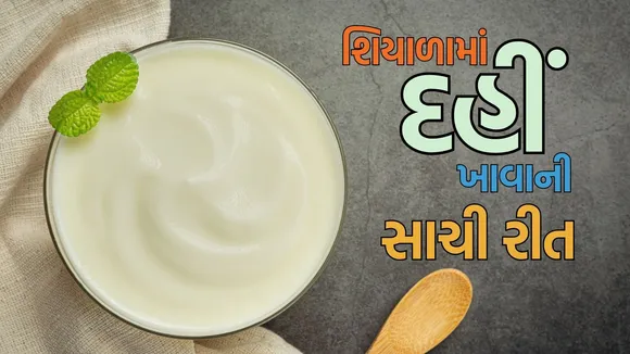 Eat Curd in Winter