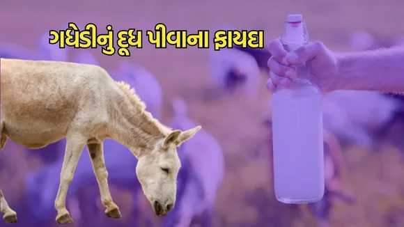 Donkey Milk, Baba Ramdev