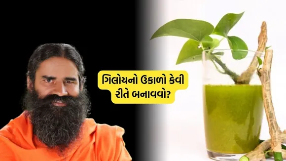 Giloy nu pani piva na fayda