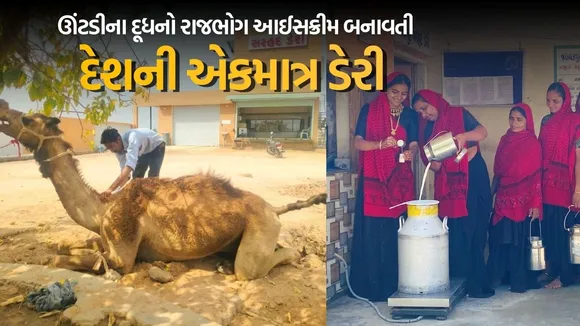 Camel Milk Processing Plant Gujarat