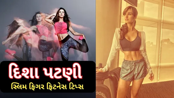 disha weight loss secret