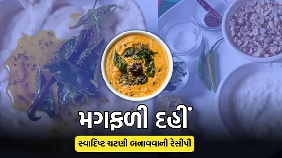 Dahi ane magfali ni chutney
