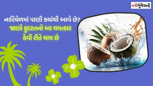 Interesting facts about Coconut