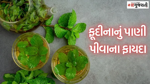 Mint water benefits for Hair