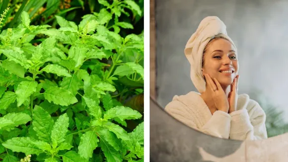 Tulsi Benefits for Skin Care
