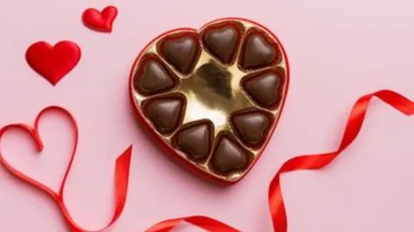 homemade chocolate recipe in gujarati