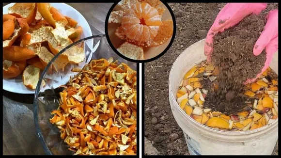 orange peel fertilizer