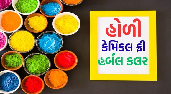 chemical free organic holi colour