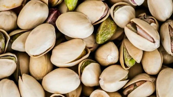 Pista Khava na fayda