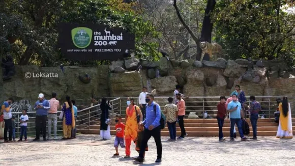 Asiatic Lions for Mumbai