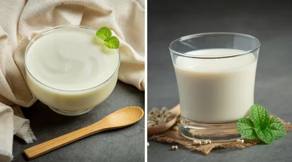 Dahi Or Buttermilk Benefits | Curd Or Buttermilk Benefits