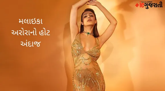 મલાઇકા અરોરાના આ ફોટોઝ જોઇ પરસેવો છૂટી જશે