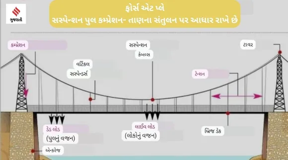 Suspension Bridge: મોરબી દુર્ઘટના પછી ચર્ચામાં છે સસ્પેન્શન બ્રિજ, જાણો કેવી રીતે કરે છે કામ?