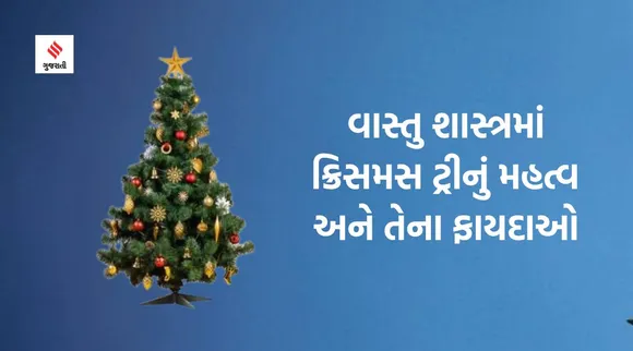 ક્રિસમસ ટ્રી કઇ દિશામાં રાખવું અને તેનાથી શું ફાયદો થશે? જાણો વાસ્તુ શાસ્ત્રમાં ક્રિસમસ ટ્રીનું મહત્વ