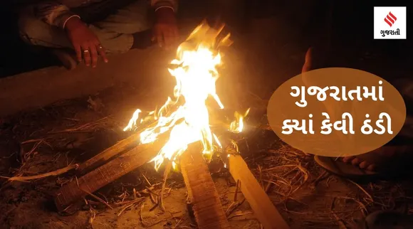 ગુજરાતમાં કોલ્ડ વેવ: ઠંડીએ રેકોર્ડ તોડ્યો, નલીયામાં 4.2 - ચૂરૂમાં 0 ડિગ્રી, જુઓ તમારા વિસ્તારમાં ક્યાં કેટલી ઠંડી નોંધાઈ?