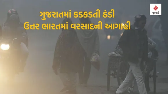 Gujarat Weather |North India Weather | Winter in North India