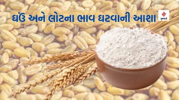 Wheat Price: સરકાર ઘઉંનો 30 લાખ ટન જથ્થો ખુલ્લો બજારમાં વેચશે, લોટના ભાવ 5થી 6 રૂપિયા ઘટવાની શક્યતા