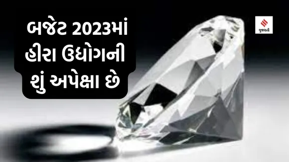Budget 2023 : બજેટ 2023માં ડાયમંડની આયાત જકાત ઘટાડવા હીરા ઉદ્યોગની માંગણી