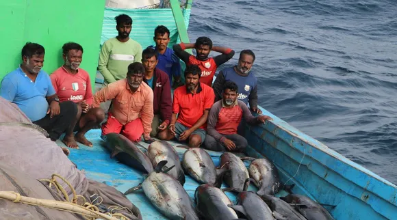 Porbandar dolphin fishing gang